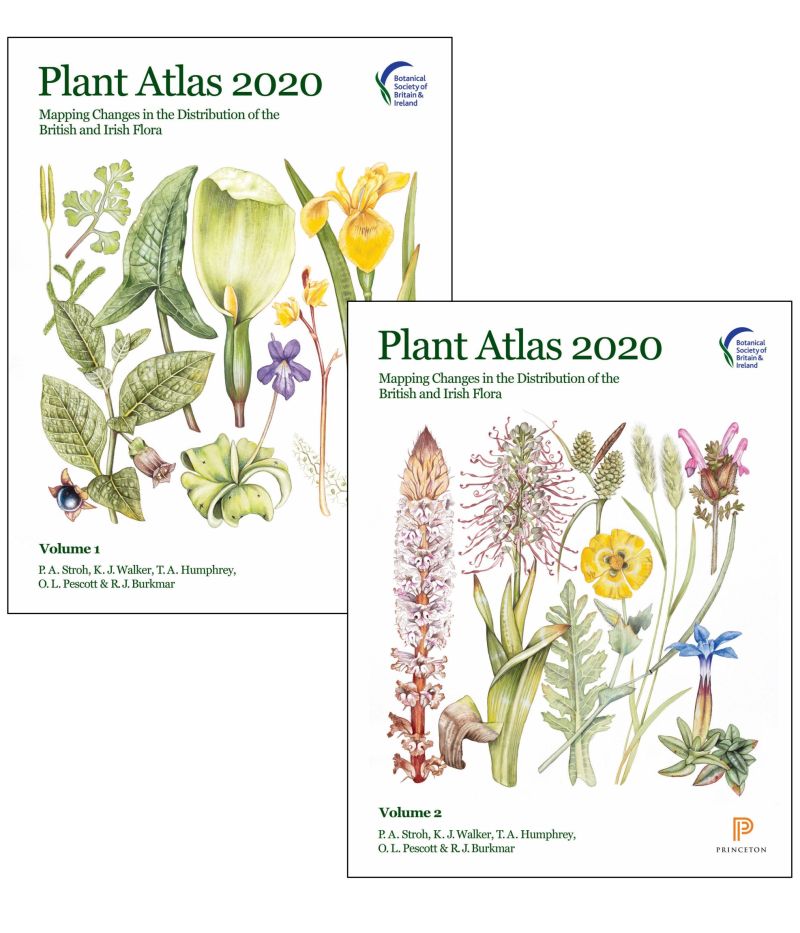 Plant Atlas 2020 data released! | Biological Records Centre